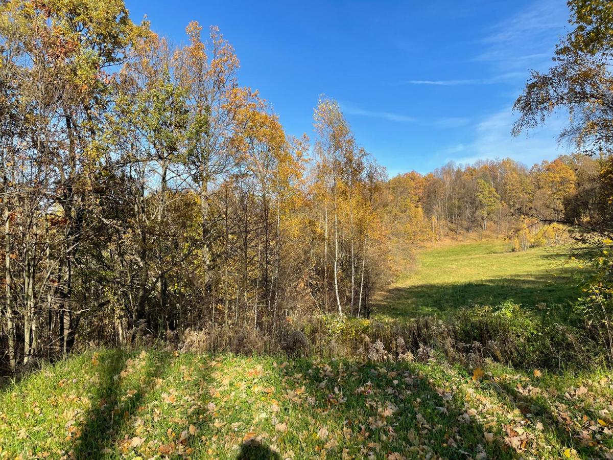 Domki Marczyce Sosnówka Esterno foto